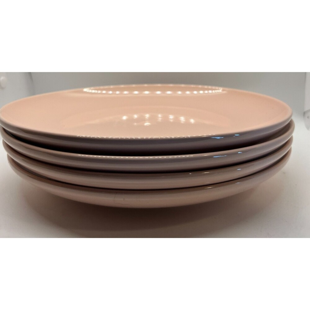 Project62 Avesta Pink Stoneware dinner Plates 10" Discontinued Set of 4 target